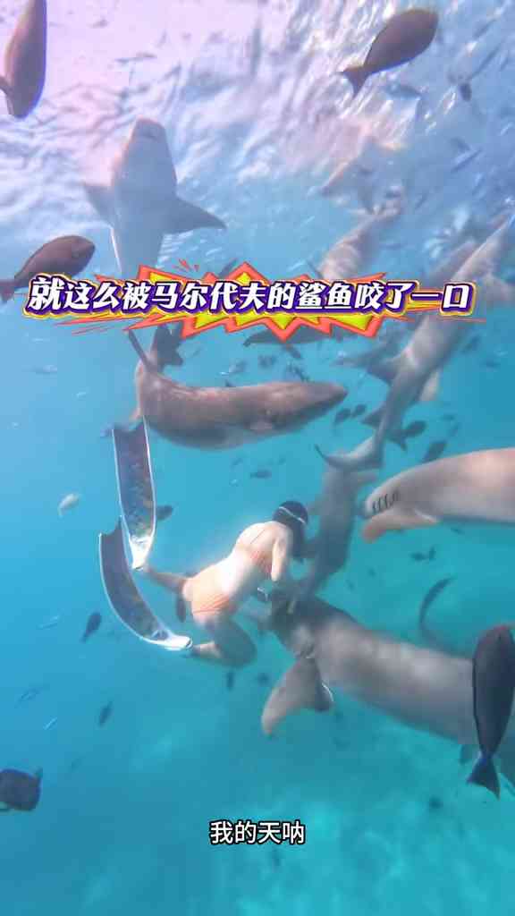 鯊魚襲擊︱26歲女網紅生理期潛水追趕鯊魚遭咬傷　炫耀傷痕拒就醫：截肢是從這邊嗎？