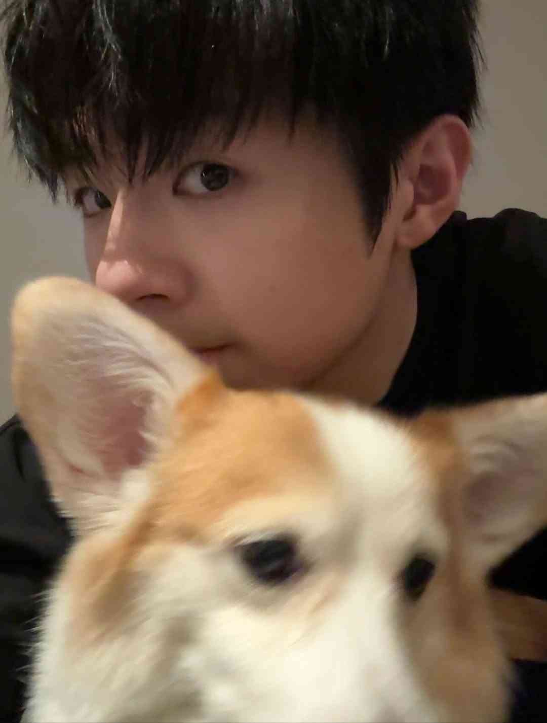 2026馬年生肖運程｜蘇民峰師傅：「屬雞」財運排第三、「屬狗」打工仔有望升職、「屬豬」容易因朋友而破財