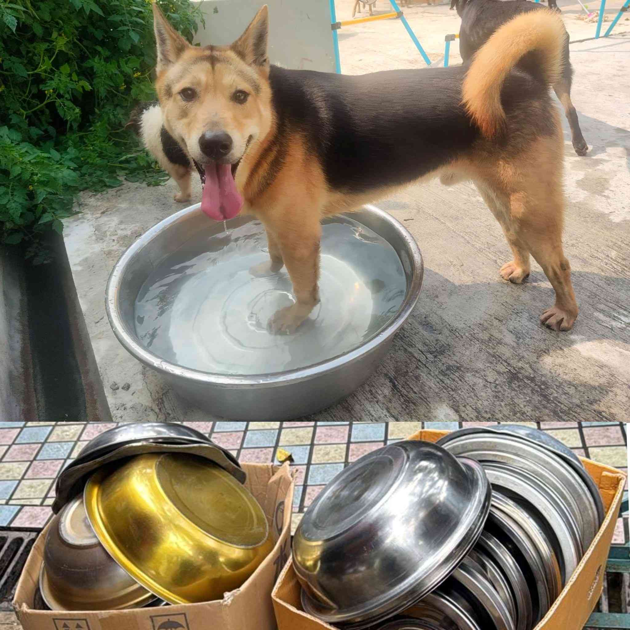 農曆新年盆菜兜回收2026︱狗場農場環保重用＋綠在區區＋全港回收點詳情