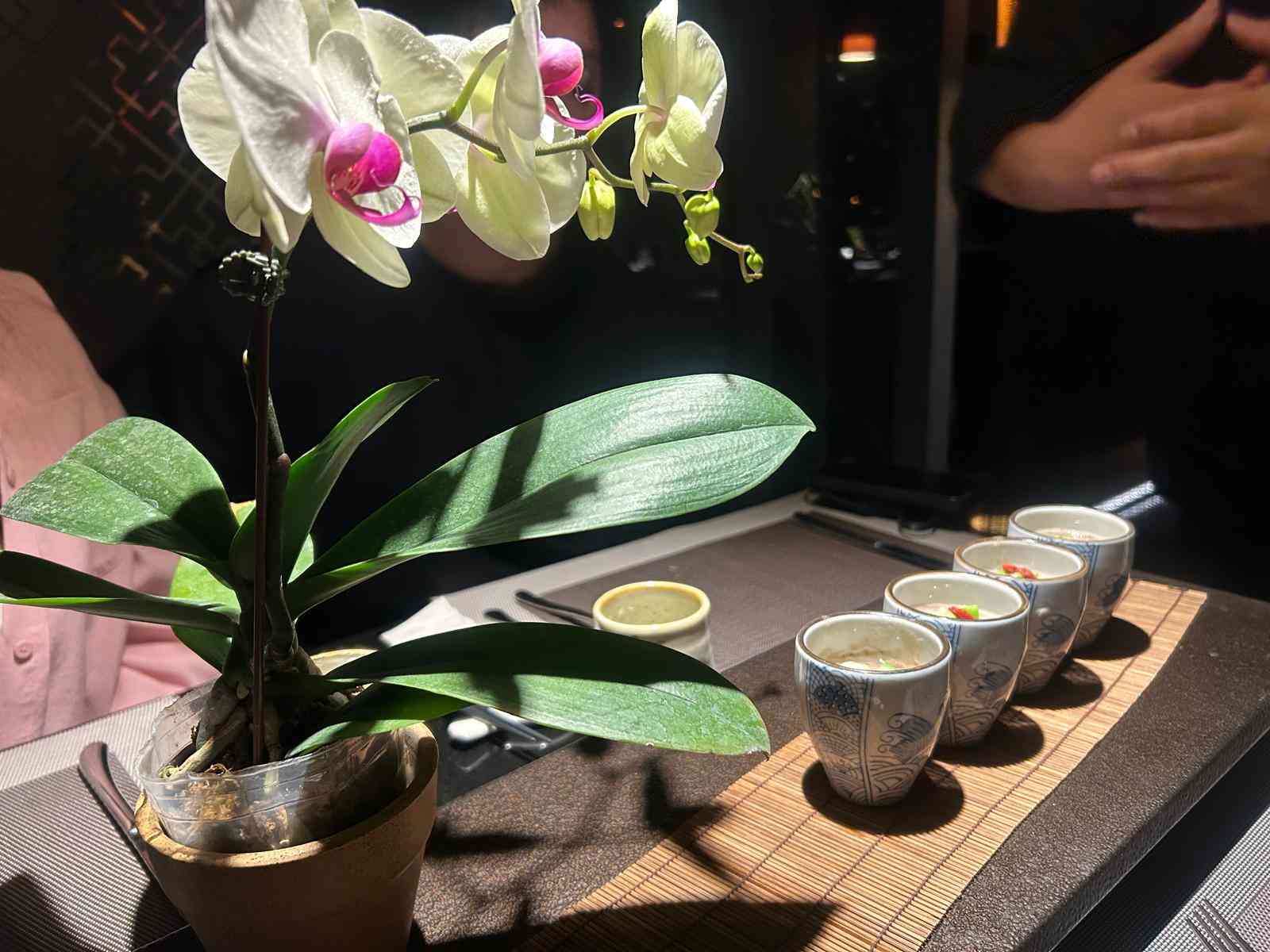 又再台北大食遊:高質素Omakase壽司、獲獎紅燒牛肉麵、美感爆棚素食 又再台北大食遊:高質素Omakase壽司、獲獎紅燒牛肉麵、美感爆棚素食