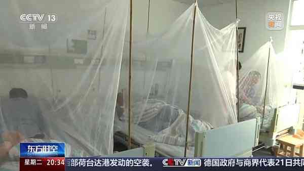 基孔肯雅熱丨佛山錄逾3千宗「基孔肯雅熱」 袁國勇：港人一般無抗體 40%患者有關節痛症狀可延數年