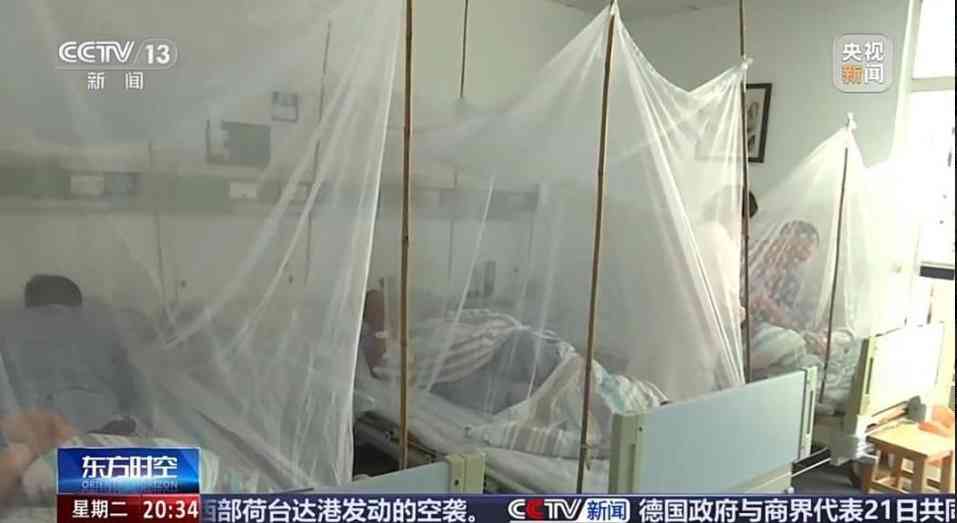 基孔肯雅熱︱廣東省錄約6100宗「基孔肯雅熱」確診個案　歐家榮：傳入本港風險高