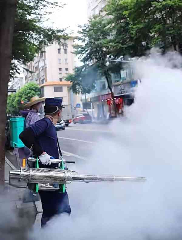 基孔肯雅熱丨基孔肯雅熱本港現首宗輸入個案 佛山曝光患者相 全身出疹、發高燒、關節劇痛或引嚴重併發症