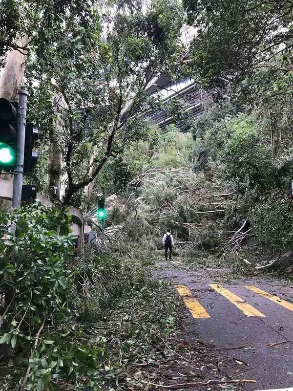 颱風樺加沙︱風王「樺加沙」襲港 風眼面積猶如3個香港 「吸風台長」指災情取決4大關鍵