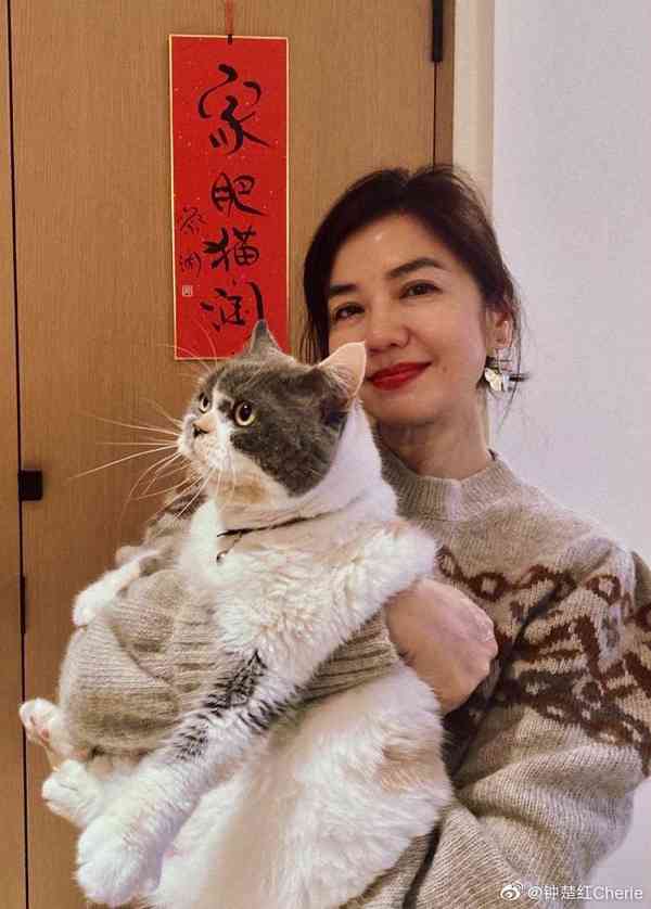 明星保養|66歲鍾楚紅孖甘比睇《夜王》 零濾鏡真實狀態曝光 被網民指撞樣成龍:點解唔P圖? 明星保養|66歲鍾楚紅孖甘比睇《夜王》 零濾鏡真實狀態曝光 被網民指撞樣成龍:點解唔P圖?