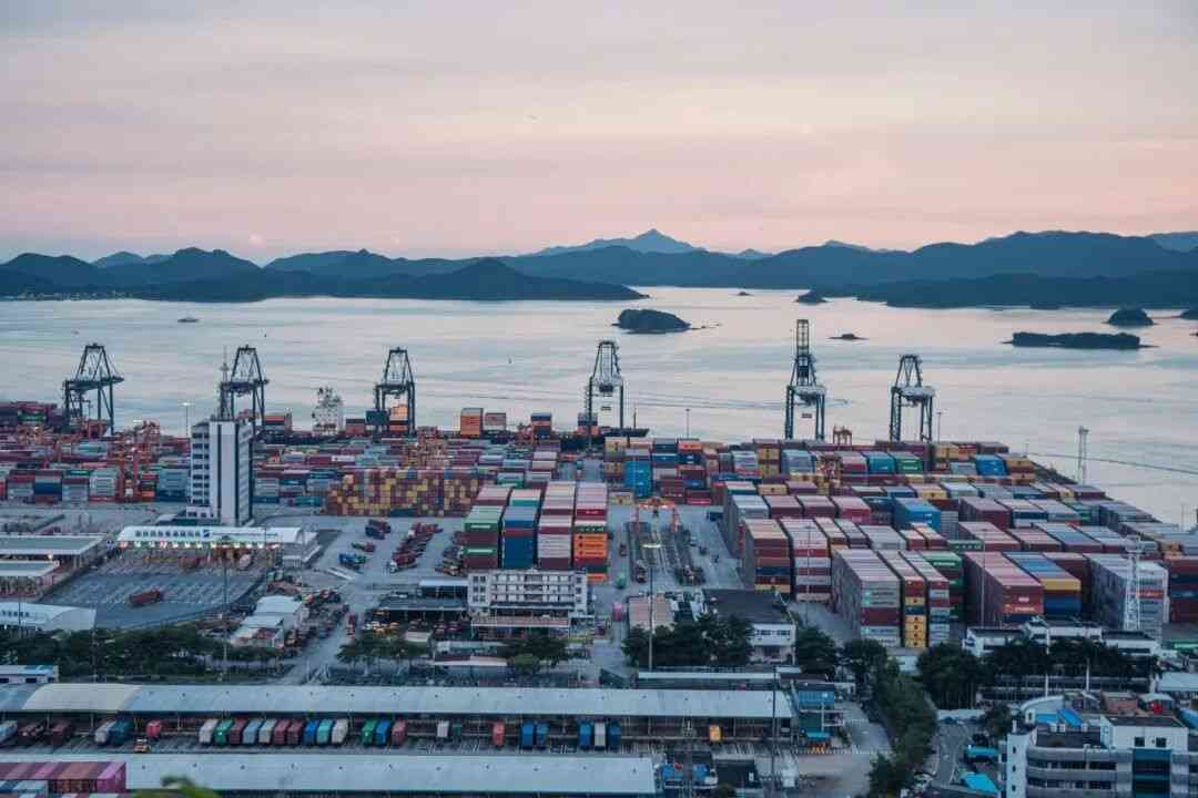 澳洲健康消費需求激增，中國養生品牌進軍巿場，社交媒體成破圈關鍵