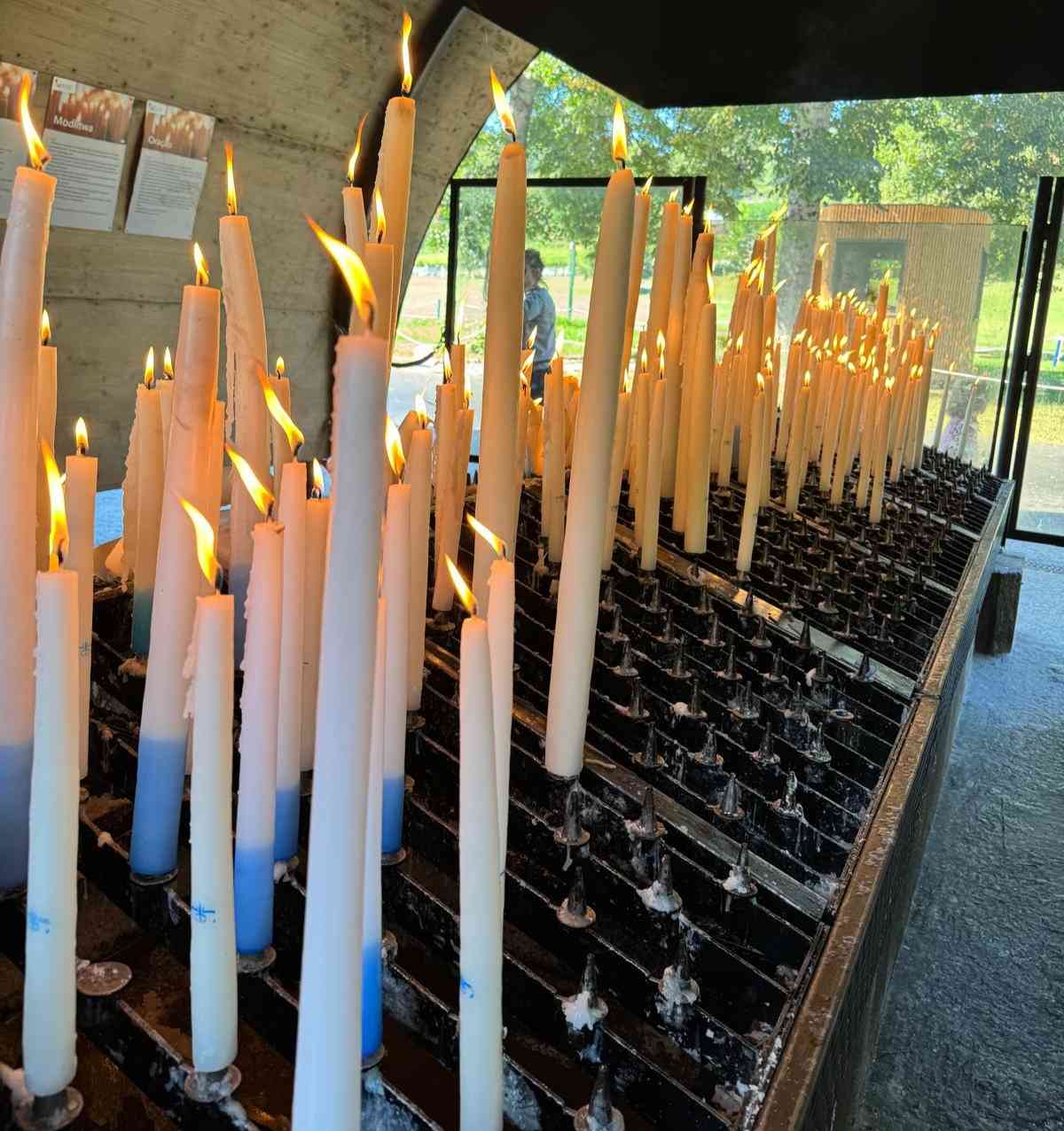 宏福苑火災慘劇｜逾百人罹難，社區援助、心理健康與重建希望