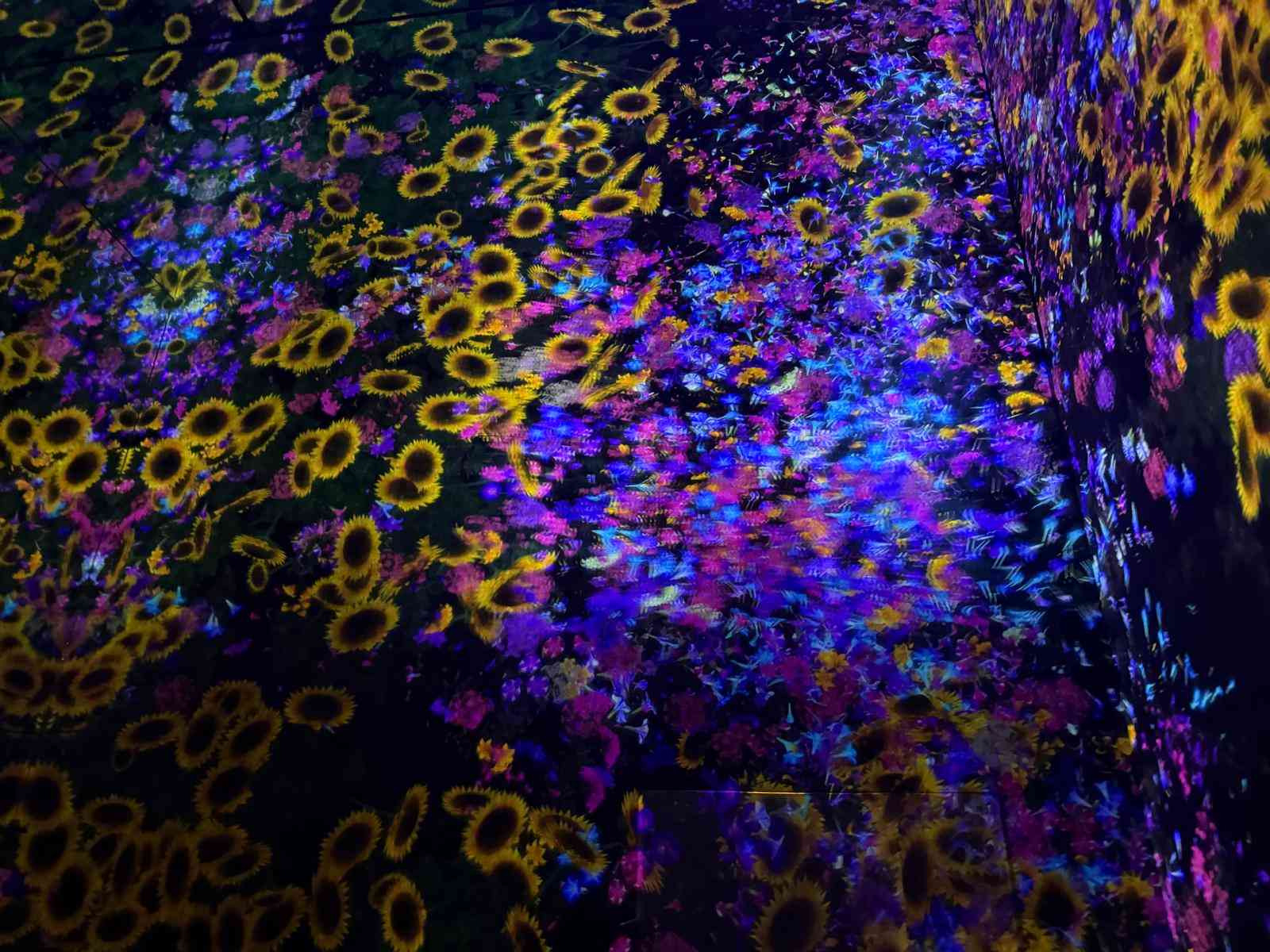 一張分數紙以外：在「環保盃」看見更重要的事