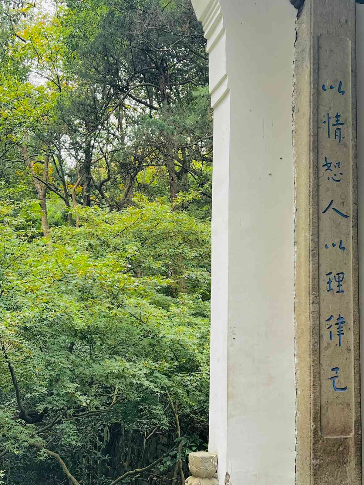 「楮墨延香 — 衍陽法師書畫展」：體會心性的美善與生死的從容