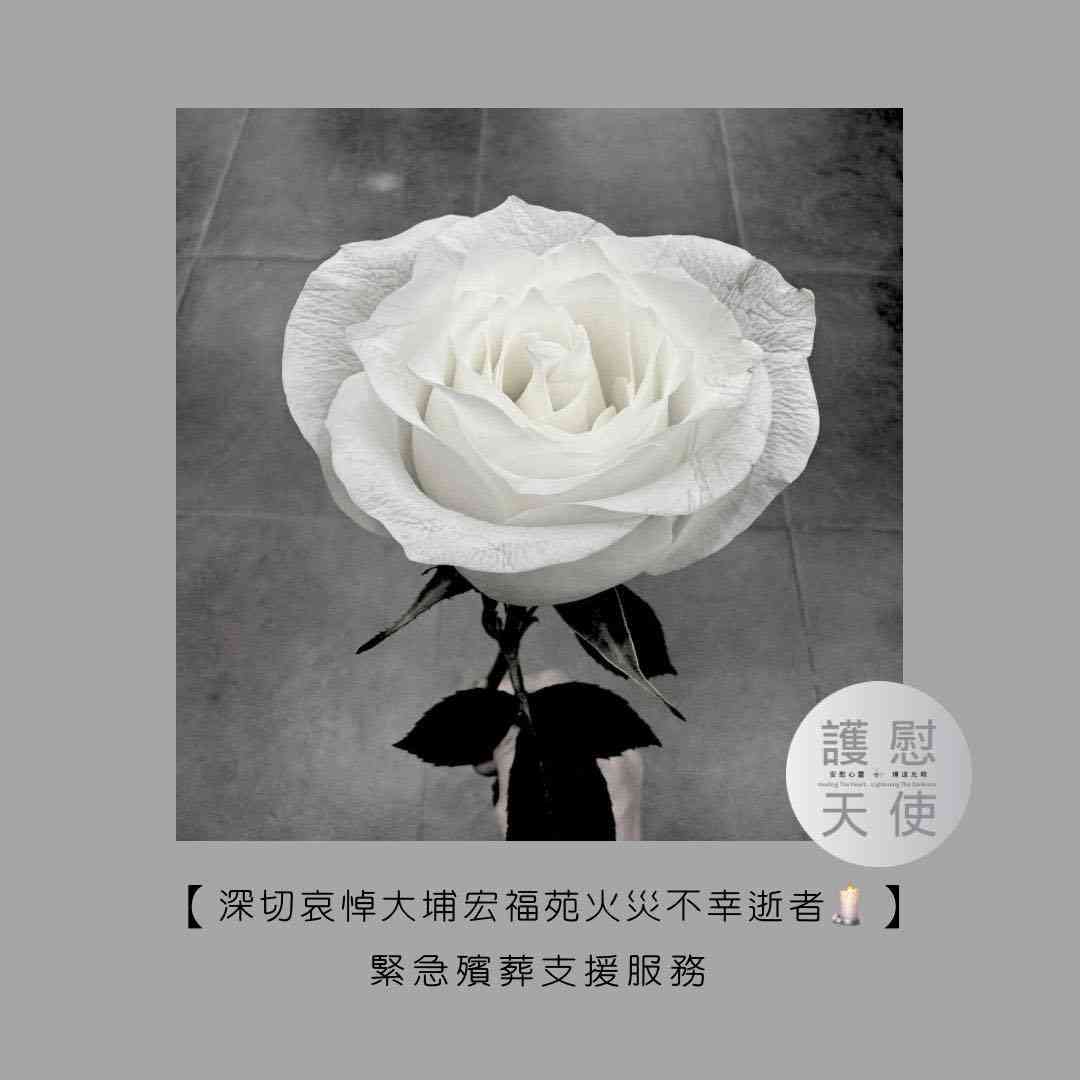 大埔宏福苑火災支援|屈臣氏服務站免費充電及日用品+慈善捐款+捐血預約+心理支援 ——熱話 大埔宏福苑火災支援|屈臣氏服務站免費充電及日用品+慈善捐款+捐血預約+心理支援 ——熱話