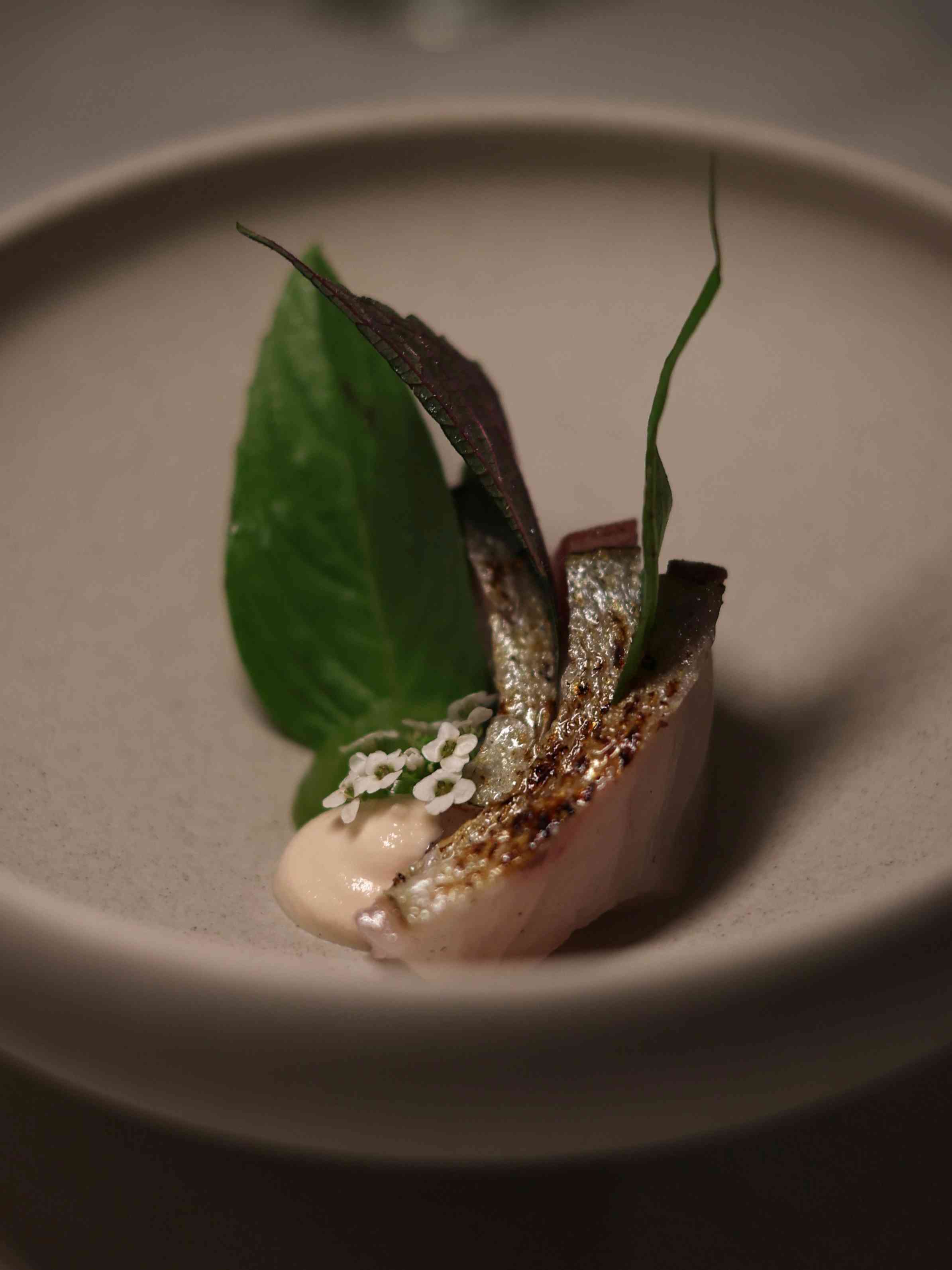 中環精緻越南料理：越式雞肉精製河粉配花膠及金華火腿、一鴨三吃配黃皮葉及越南鹹冬甩，打造出「越華融合」的佳餚美饌！