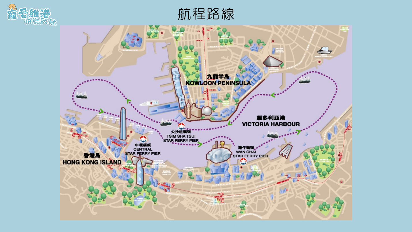 寵物好去處︱天星小輪人寵海上派對＋送水手帽頸巾＋維港歎啡聽音樂＋收益支持流浪貓狗救援