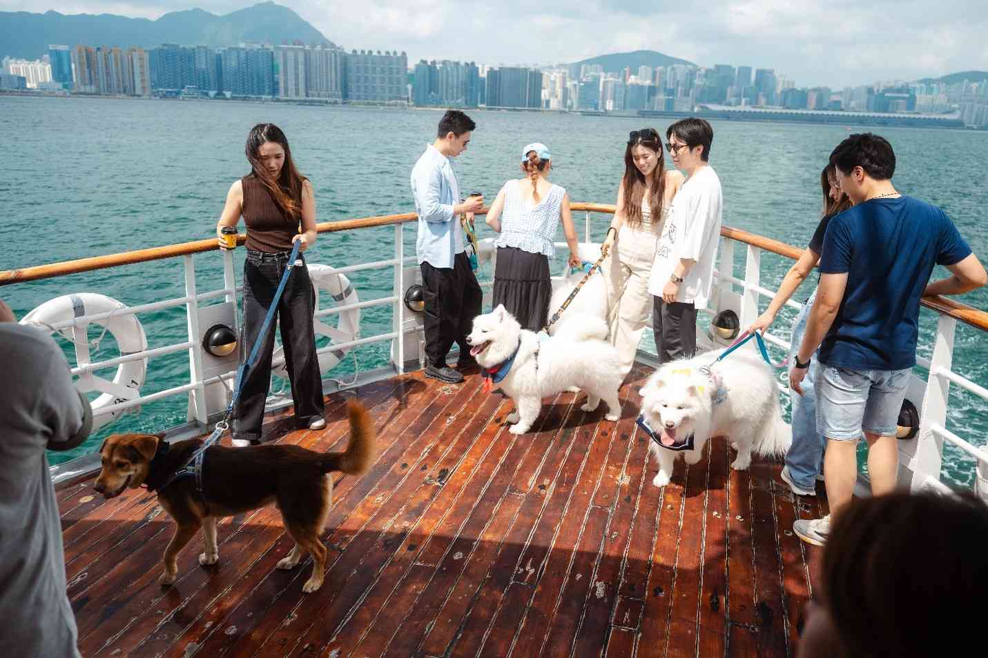 寵物好去處︱天星小輪人寵海上派對＋送水手帽頸巾＋維港歎啡聽音樂＋收益支持流浪貓狗救援