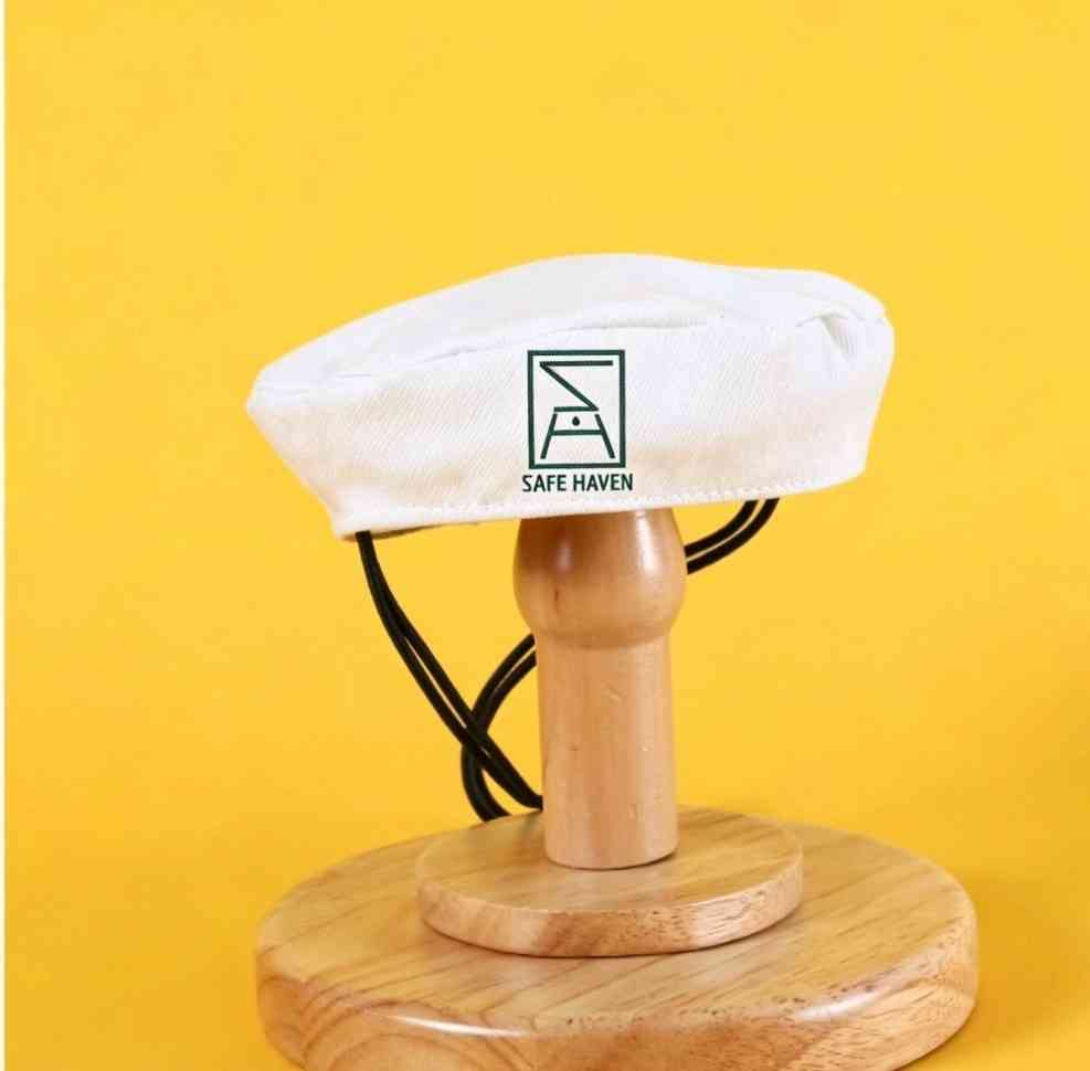 寵物好去處︱天星小輪人寵海上派對＋送水手帽頸巾＋維港歎啡聽音樂＋收益支持流浪貓狗救援