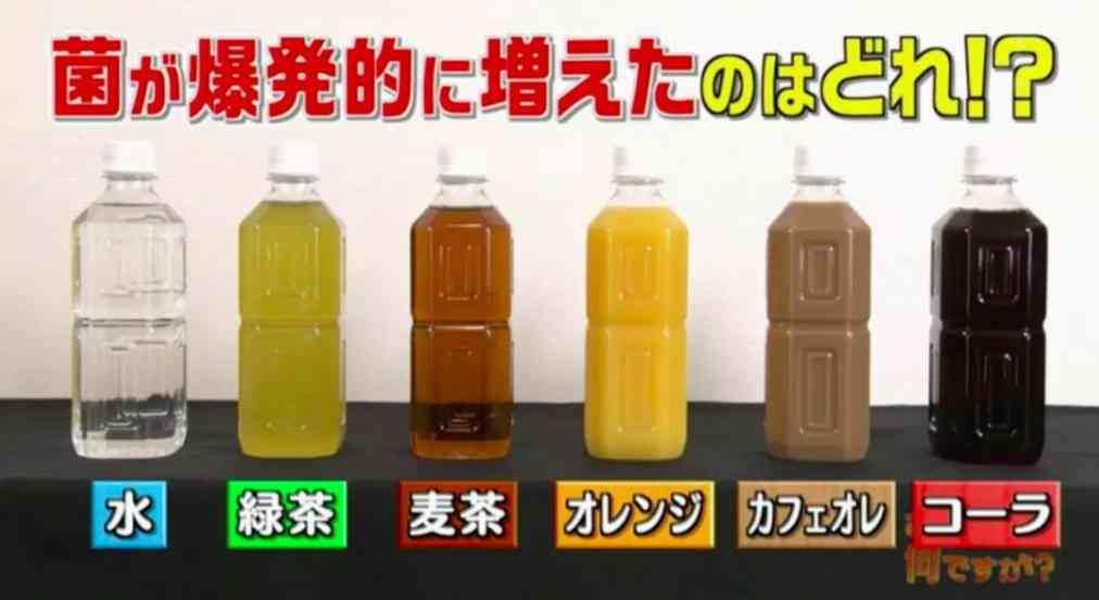 隔夜飲品｜日本實測6款隔夜飲品含菌量　1種細菌暴增8000倍　3種極高危可致食物中毒【附3個開封後防菌貼士】