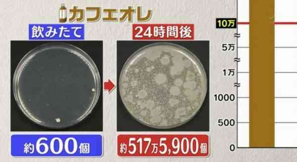 隔夜飲品｜日本實測6款隔夜飲品含菌量　1種細菌暴增8000倍　3種極高危可致食物中毒【附3個開封後防菌貼士】