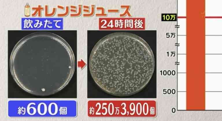 隔夜飲品｜日本實測6款隔夜飲品含菌量　1種細菌暴增8000倍　3種極高危可致食物中毒【附3個開封後防菌貼士】
