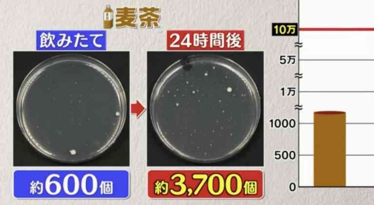 隔夜飲品｜日本實測6款隔夜飲品含菌量　1種細菌暴增8000倍　3種極高危可致食物中毒【附3個開封後防菌貼士】
