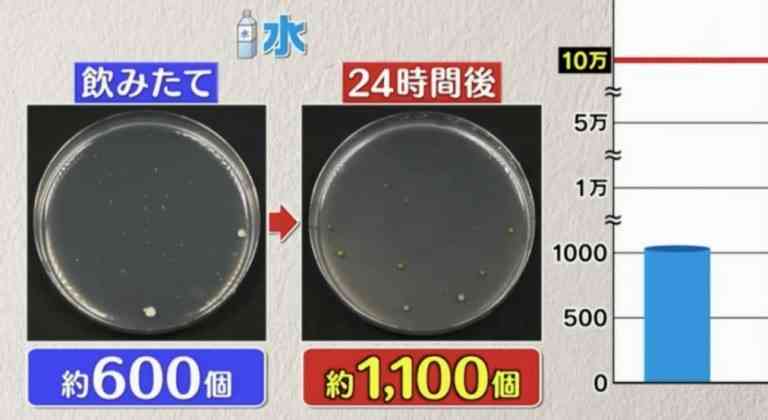 隔夜飲品｜日本實測6款隔夜飲品含菌量　1種細菌暴增8000倍　3種極高危可致食物中毒【附3個開封後防菌貼士】