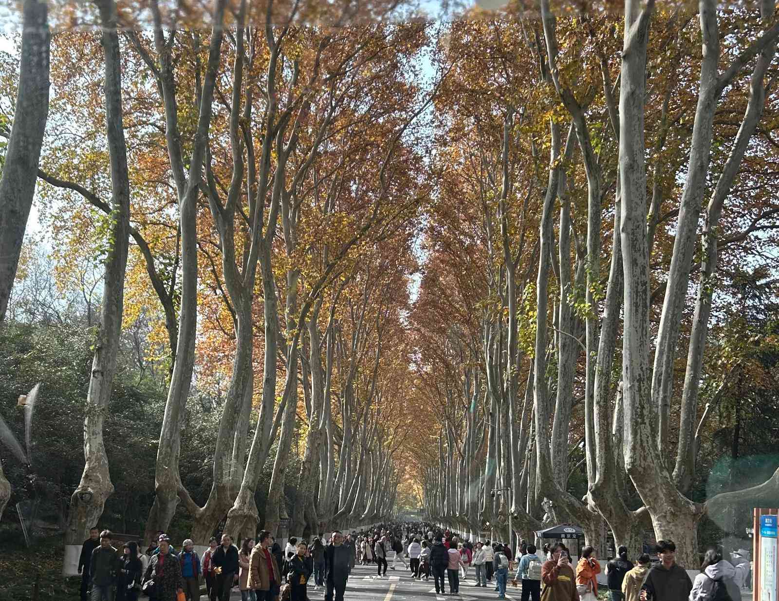 退休旅行者的大樂趣