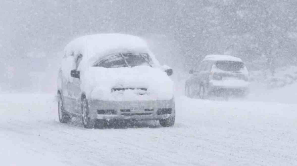 移民夢碎怎能《今天應該很高興》