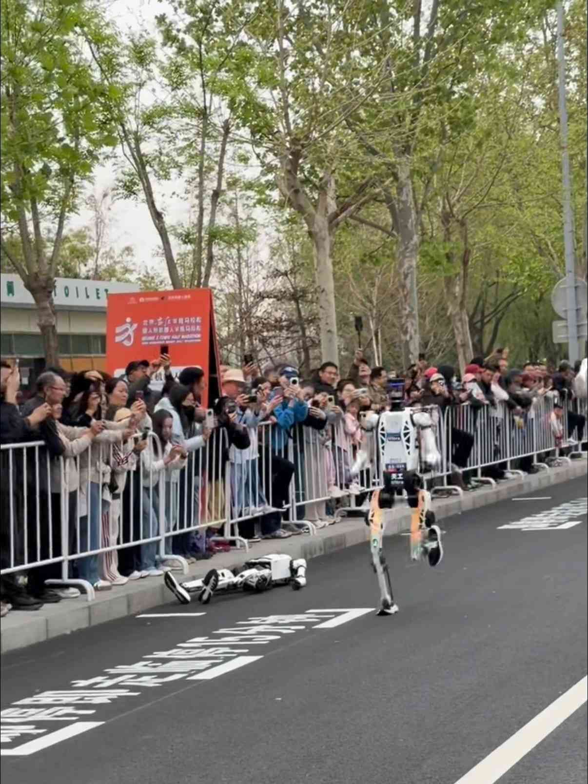 京城近觀｜榮耀橫掃頒獎台，宇樹遺憾離場，機器人半馬跑出行業新格局