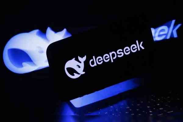 DeepSeek | FOCUS | 魚翅VS蘿蔔，成本降維加持「token經濟」