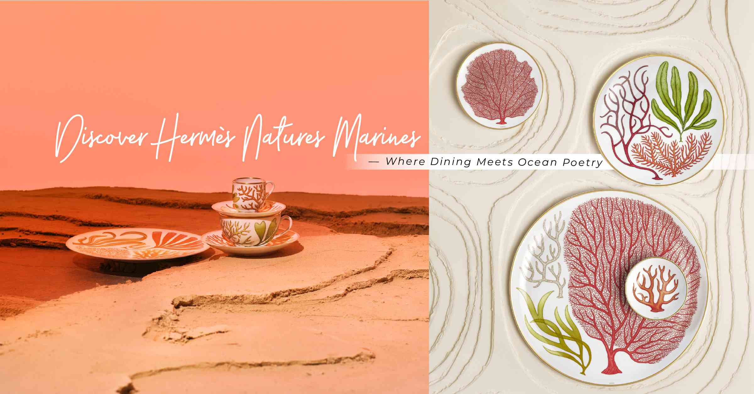  Hermès全新餐瓷系列「Natures Marines」：為餐桌注入深海的靜謐與詩意