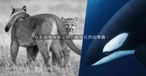 人氣文章