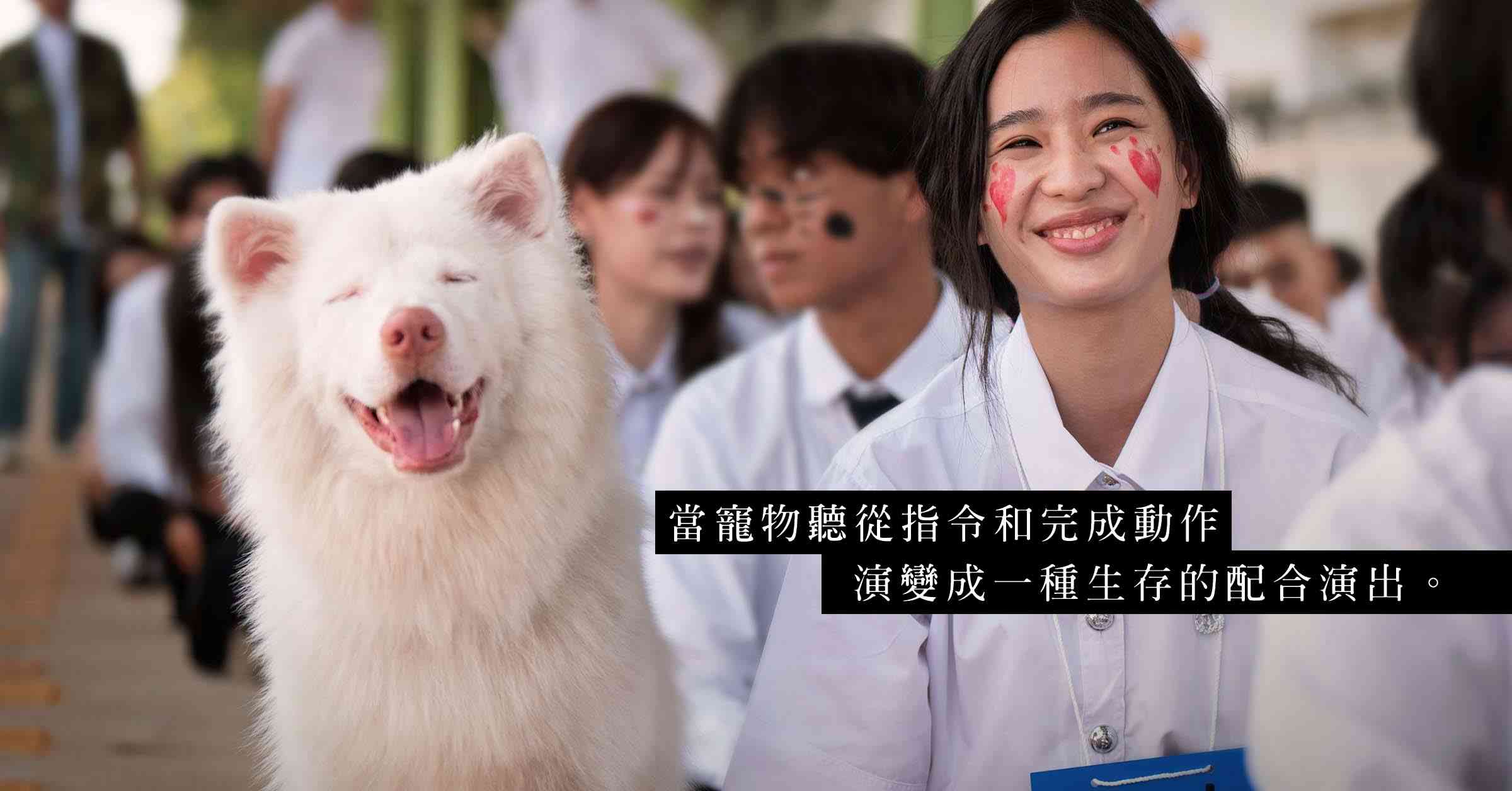 《流浪犬小飯》的反思 : 人類最好的朋友？！飼養寵物背後的不平等關係