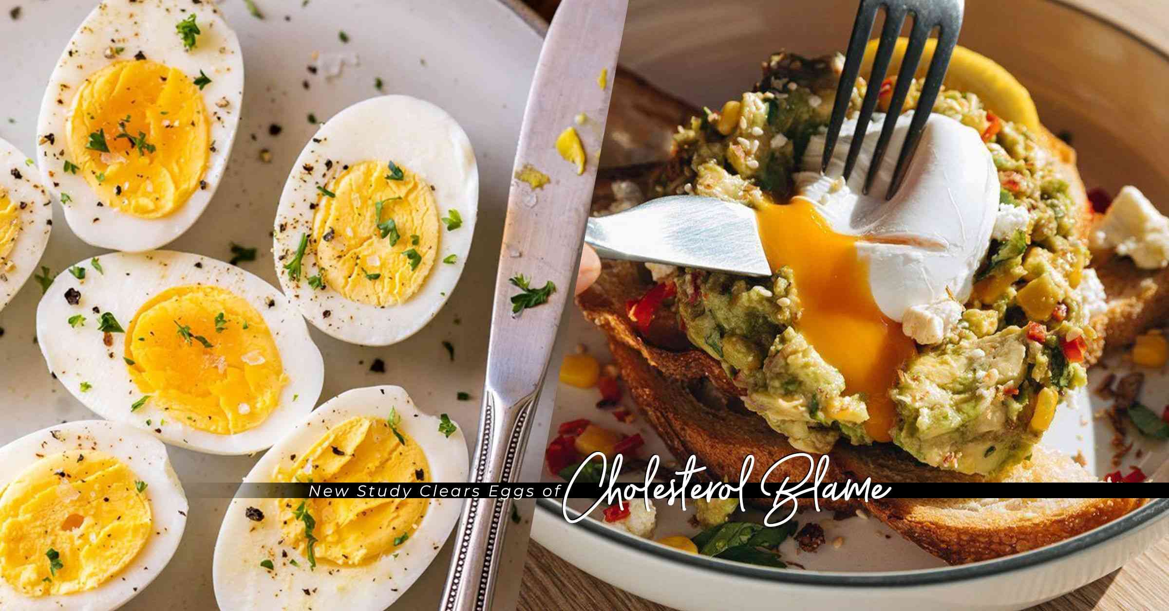 雞蛋導致膽固醇上升？最新澳洲研究為雞蛋平反：每天兩隻雞蛋，壞膽固醇明顯下降！