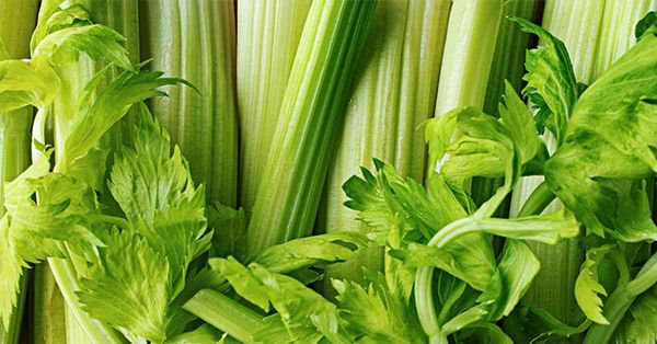 第四高是甚麼？自我檢測是否高危一族？新一代四高殺手:芹菜籽的...