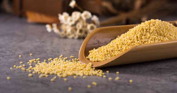 Cous cous vs Millet：中文都叫小米，營養師拆解3大營養差異別買錯！