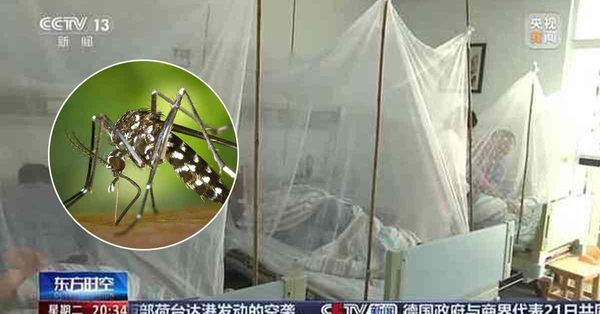 基孔肯雅熱丨佛山「基孔肯雅熱」持續爆發！袁國勇警告40患者數...
