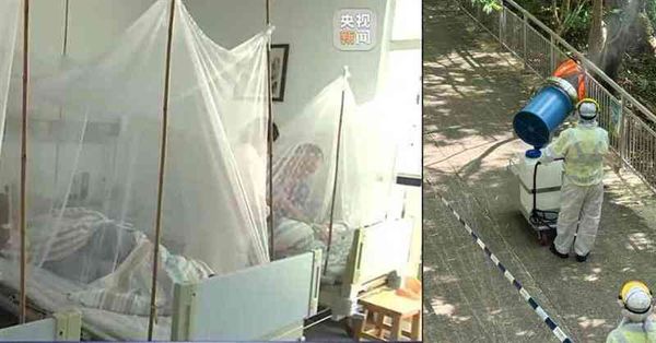 基孔肯雅熱︱廣東省約6,100宗基孔肯雅熱確診，港輸入個案風險升高