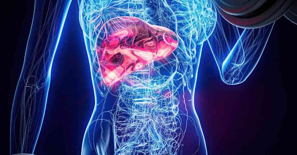 醫生分享逆轉肝硬化真實個案，2大護肝食物、1款飲品每日4杯降肝癌風險75 