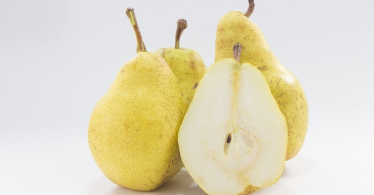 宏福苑大火｜火災煙塵危害，3大吸入性損傷、中醫護理貼士、2款食療紓緩呼吸不適