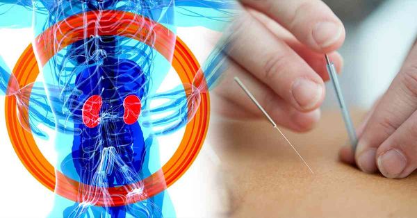 逆轉腎病新方案:針灸+徒手整復+量子視角+易經智慧重啟腎功能...