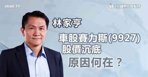 車股部署｜車股賽力斯(09927)股價沉底，原因何在？