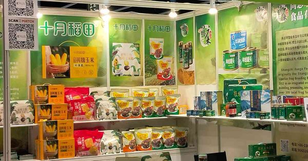 香江之畔糧香四溢 十月稻田攜醇香穀物亮相國際美食舞台