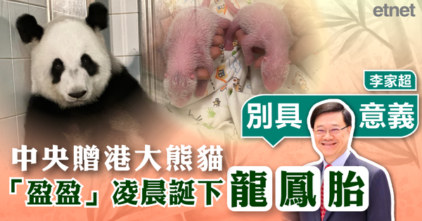 大熊貓 | 中央贈港大熊貓「盈盈」凌晨誕下龍鳳胎，李家超稱別具意義