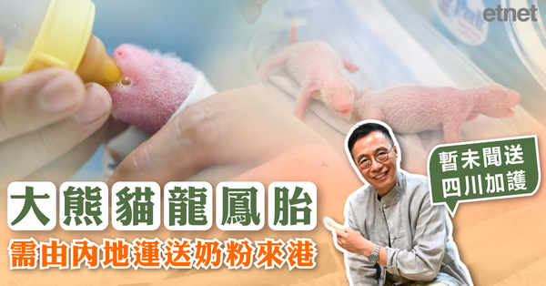 大熊貓 | 楊潤雄：大熊貓龍鳳胎需由內地運送奶粉來港，暫未聞送四川加護