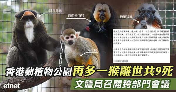 香港動植物公園再多一猴離世共9死，文體局召開跨部門會議