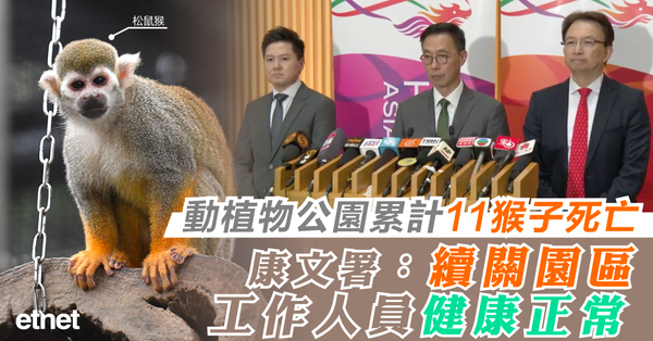 動植物公園累計11猴子死亡，康文署：續關園區工作人員健康正常