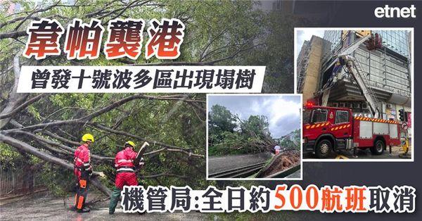 韋帕襲港曾發十號波多區出現塌樹，機管局：全日約500航班取消