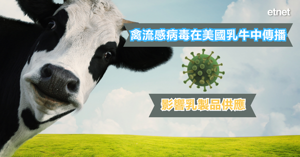 國際新聞 | 禽流感病毒在美國乳牛中傳播，影響乳製品供應