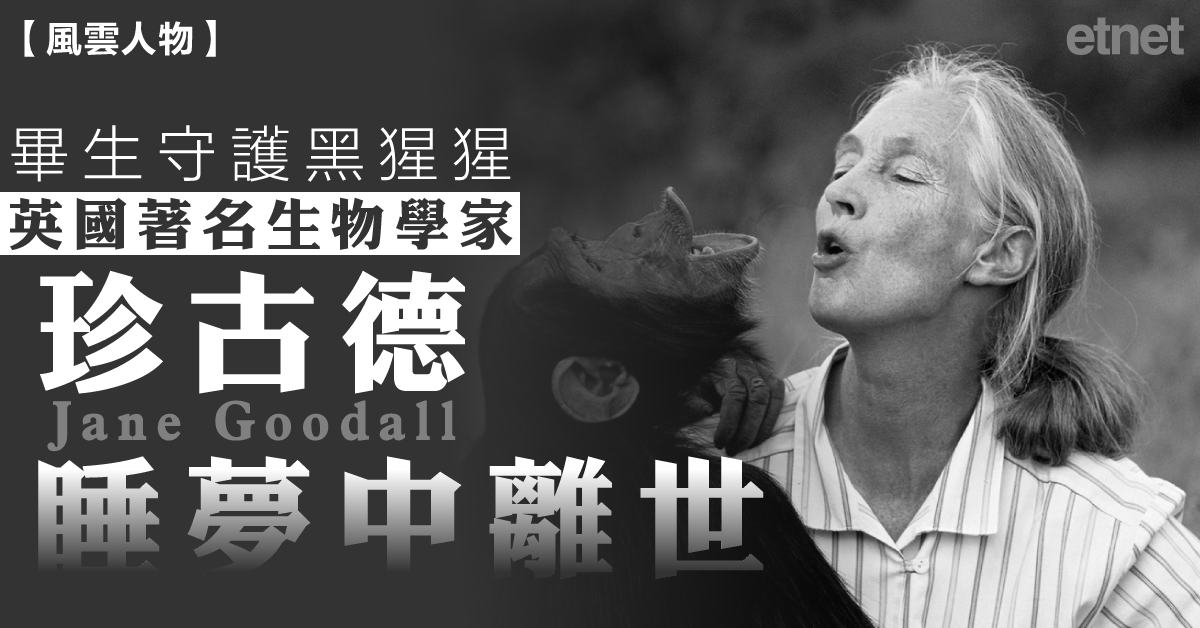 人氣文章