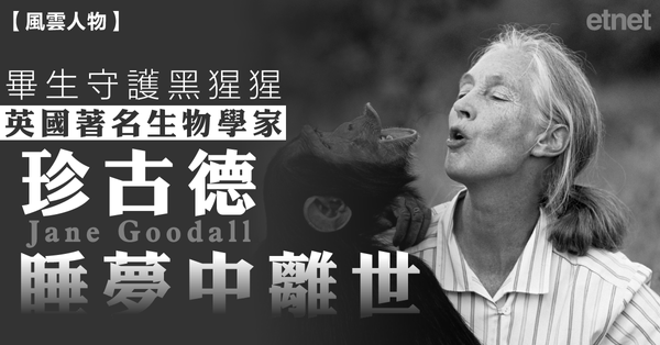 風雲人物 | 畢生守護黑猩猩，英國著名生物學家珍古德睡夢中離世