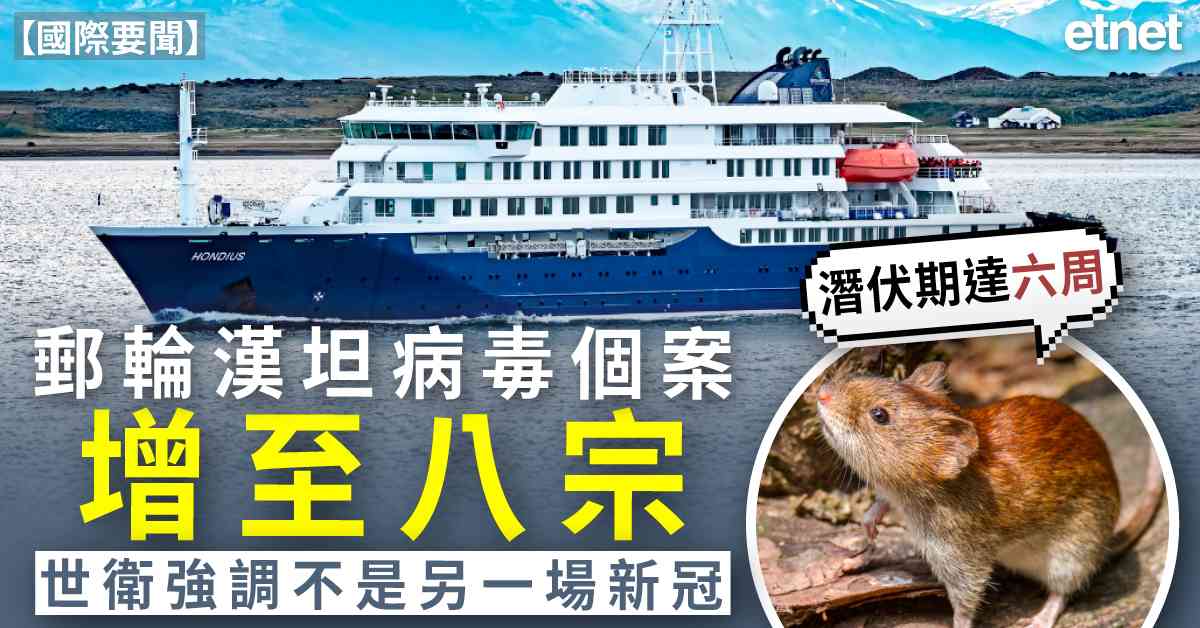 國際動態