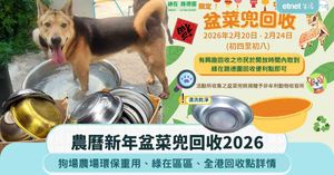 人氣文章